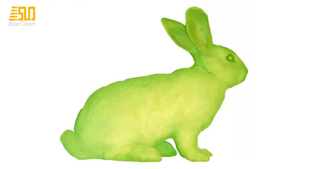 녹색 형광 토끼